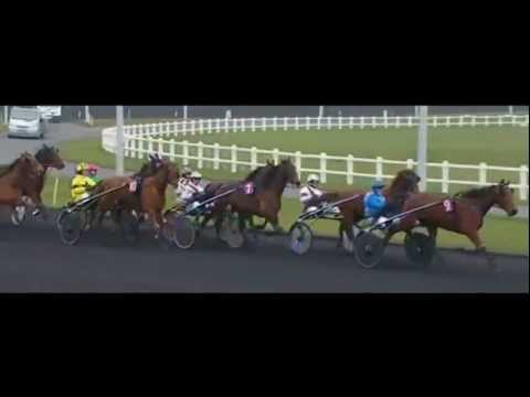 Prix De Selection 2013_Village Mystic 1:14,4_L. Baudron