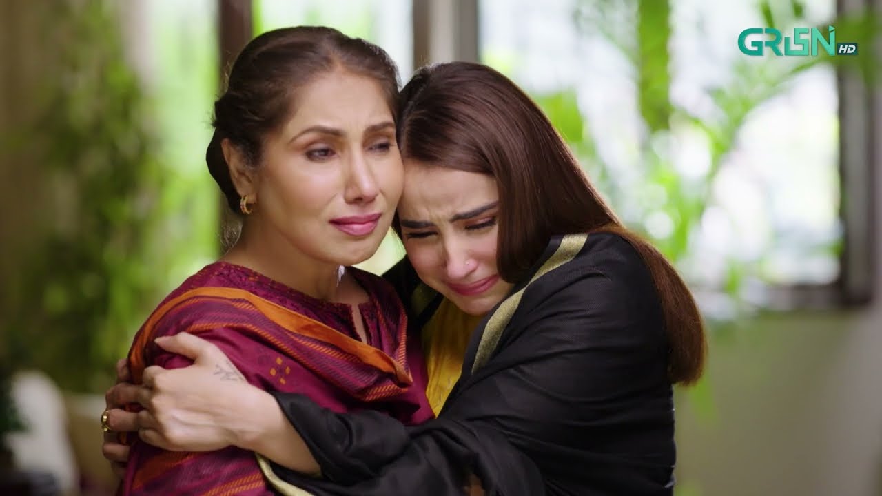 Aik Bhool Episode 49 | Best Moment 04 | Green TV Entertainment