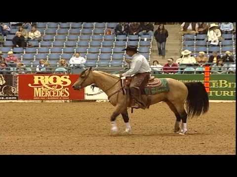 2009 Open Bridle Finals