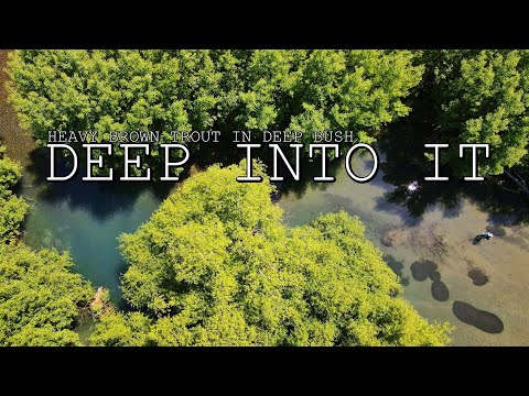 Big Brown Trout Fly Fishing in Heavy Bush - Slow, Tactical Fly Fishing for Brown Trout