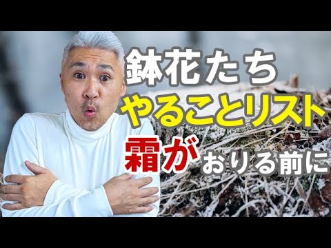 庭を寒さや霜から守る肥料は何ですか?この冬おすすめの5本をご紹介します!  庭園