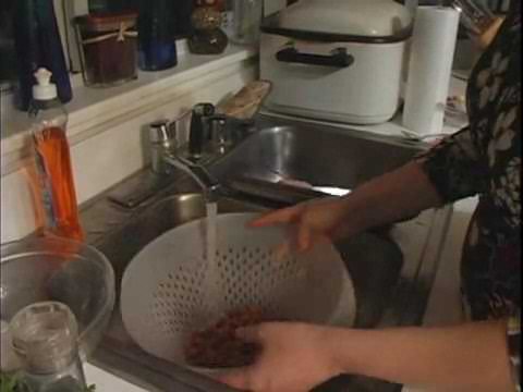 Preparing Fava Beans for Falafel