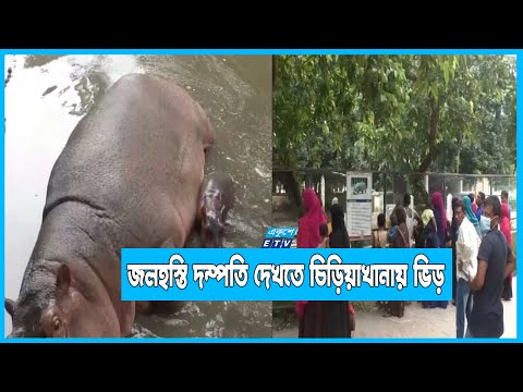 জলহস্তি দম্পতি দেখতে রংপুর চিড়িয়াখানায় দর্শনার্থীদের ভিড়