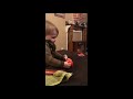 Dog Gently Pushes A Small Ball While Playing Fetch With A Baby