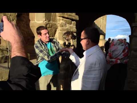 Mtsheta and hawk (Georgia)