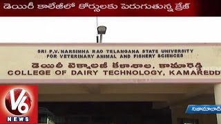 Telangana Youth showing Interest in Dairy Technology Studies | V6 News
