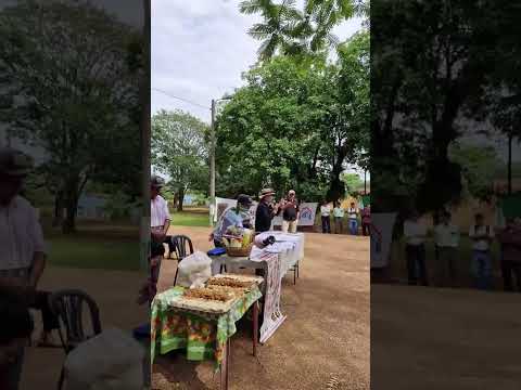 Elias Cabral en Belén Concepción 