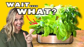 Is Growing Food Indoors Even Worth It?