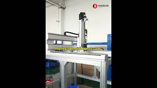 XYZ Gantry System, Gantry Cartesian Robot