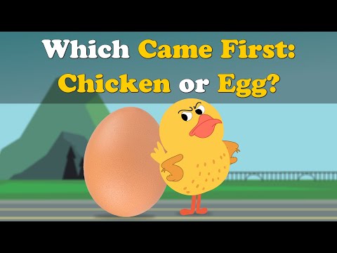 Which Came First : Chicken or Egg? | #aumsum #kids #science #education #children