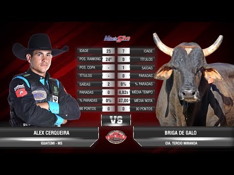 Colorado Rodeo 2019 - BULLS / FRIDAY