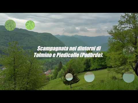 Scampagnata in zona Tolmino e Piedicolle. Salita per la strada militare italiana.