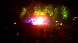 spine of a dog moe. down 12