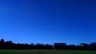 Westpac rescue chopper, Hagley Park