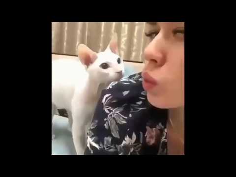 Pout Pose With My Cat Gone Wrong
