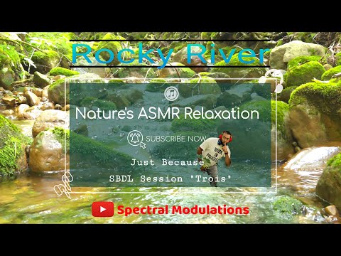 SBDL Session 3: Rocky River | Relaxing Water Over Stones & Woodland Sounds