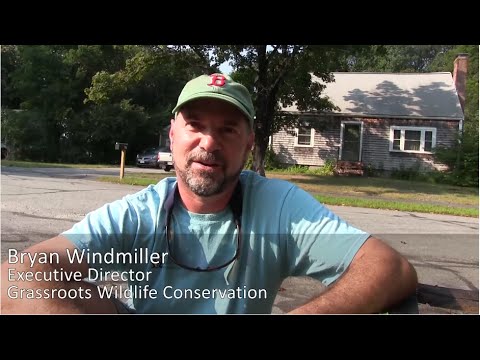 You Can Make a Difference - Introduction to Grassroots Wildlife Conservation