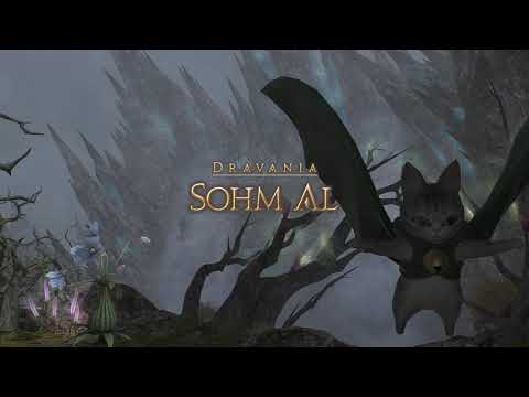 FFXIV - Mourn in Passing pt 2