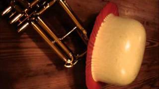 postman's lament Ken Colyer tribute with lyrics-andy moran