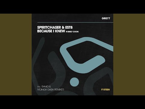 Because I Knew (Est8 Mix)