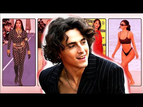 Timoth E Chalamet All Relationships 2013 Present