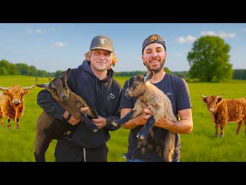 WE GOT 6 PYGMY GOATS! And Highland Cows??