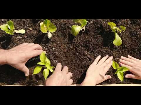 Un esperienza esclusiva nella spiaggia più romantica della costa delle miniere 💎 🍃
