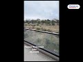 Видео превью