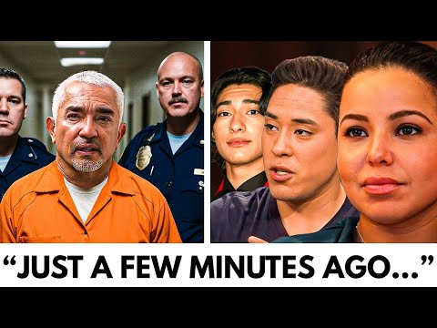 Cesar Millan's Final Sentencing. Goodbye Forever!