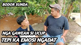 Download lagu bodor sunda si ucup di gawean ku si kipli mp3