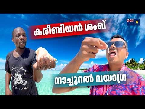 Catching Caribbean Conch | Super Food of the Sea | Makes Men Crazy | ശംഖ് എടുത്ത് പച്ചയ്ക്ക് കഴിച്ചു