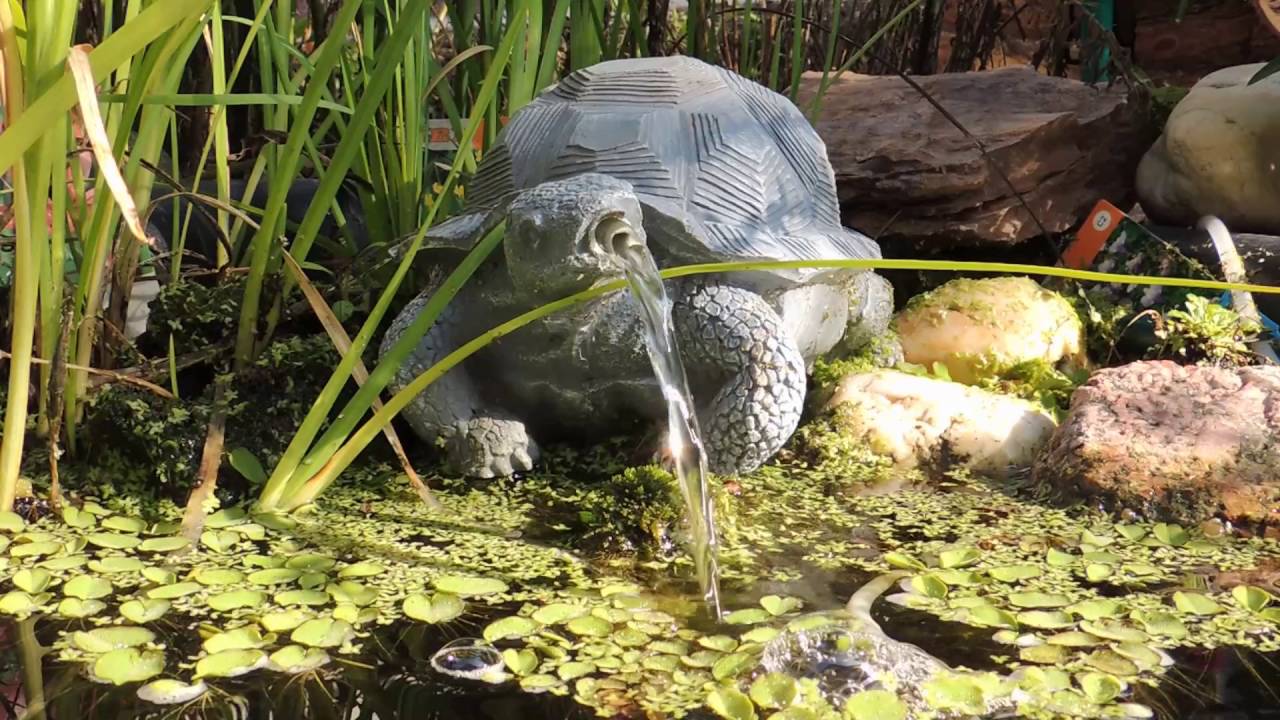 Toddmomy Frosch Wasserspeier - Lebensechte Teichfigur Aus Keramik 23cm