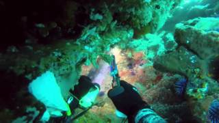 Northern California Spearfishing: Hole Hunting