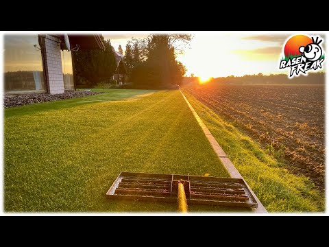 Der TAU muss weg! Ich nutze jetzt den RASENRAKEL zum Tau abwedeln.