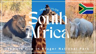 【南アフリカ】本場のサファリ！クルーガー国立公園での3日間｜Travel Vlog