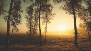 Sixteen Horsepower - Horse Head Fiddle