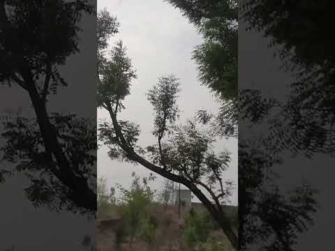 flowers flowers flowers 💐 #jk