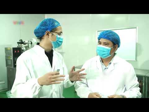 Bột Rau Má – Diếp Cá – Tía Tô Nguyên Chất Thanh Nhiệt, Đẹp Da Tự Nhiên