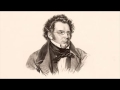F. Schubert: VIII. simfonija u h - molu, Nedovršena, I. stavak: Allegro moderato (ulomak)