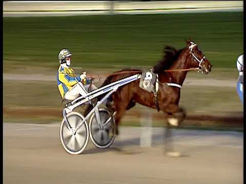 Trotto 10/02/2019 - 5ª corsa