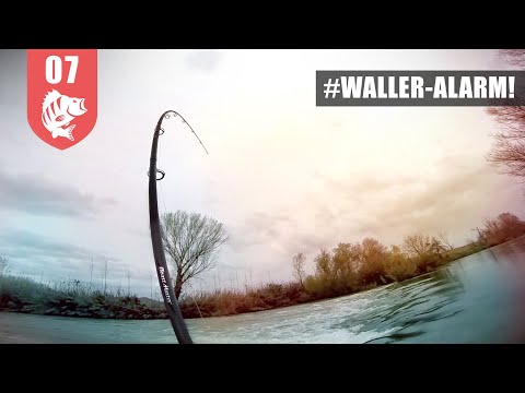 Ein HARTER Fight: WALLER-Alarm!