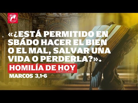 Lecturas y homilía - 21 de enero - P. Leonard