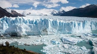 J. S. Bach - Conciertos para órgano- T. Koopman