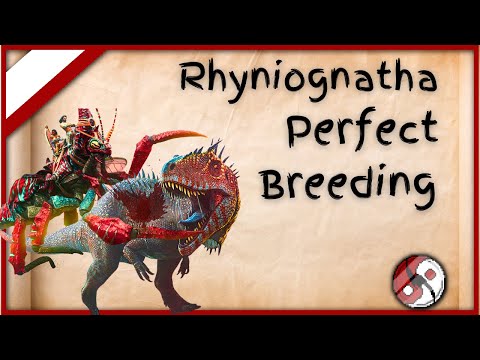 How To Breed The Ryniognatha For Perfect Stats Quick Breeding Guide