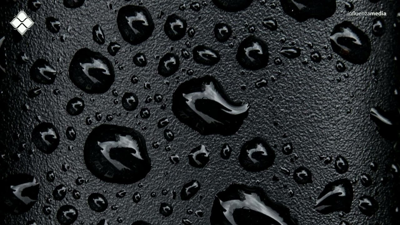 Radiata - Locker Lover