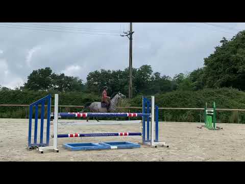 Djerba Mouche (Malito de Rêve x Diamant de Semilly) - 2019