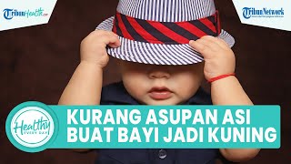 Faktor Risiko Kurangnya Asupan ASI Bisa akibatkan Bayi Kuning, Begini Penjelasannya