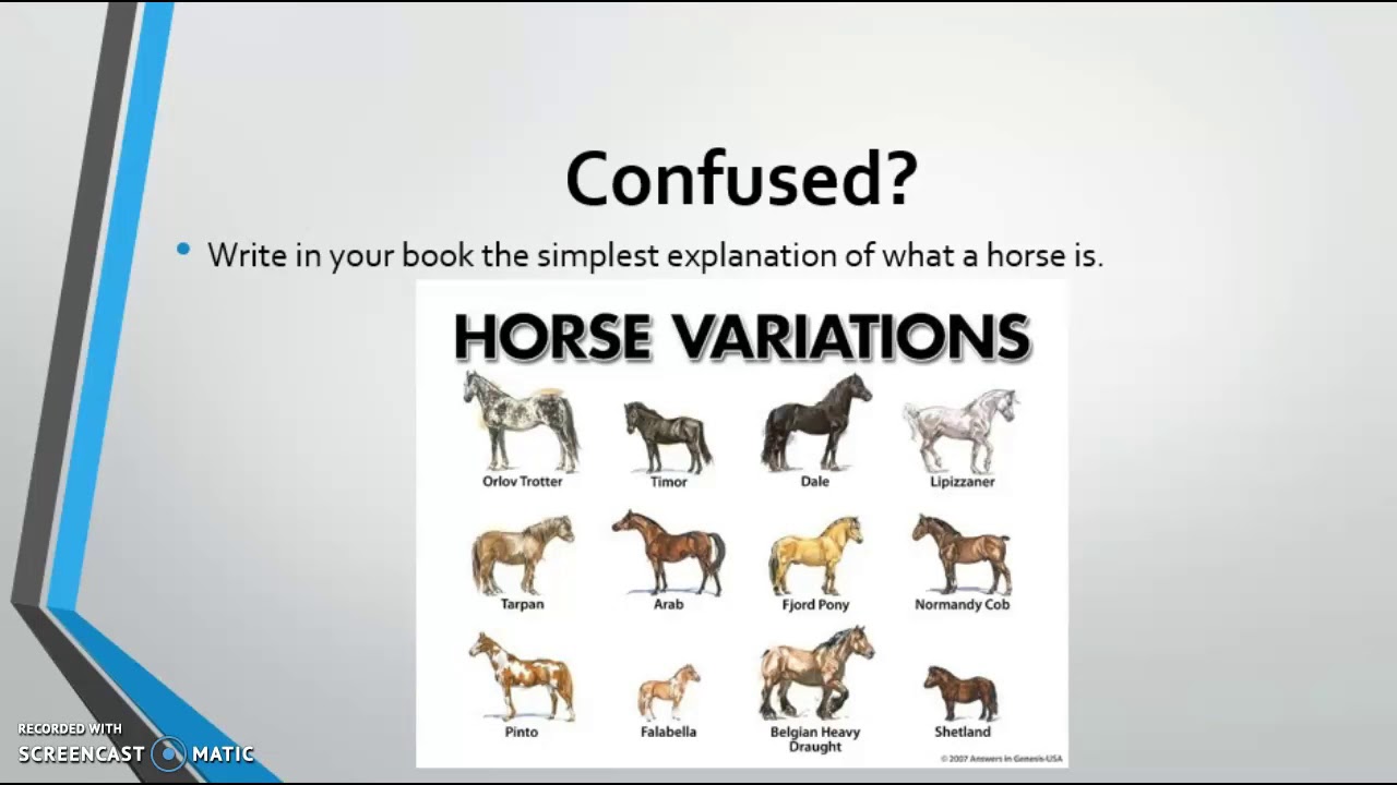 Metaphysics: Plato vs Aristotle