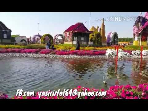 Dubai marical garden with rabab music