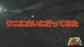 【バイオハザードre2】クレアでワニに会いに行ってみた